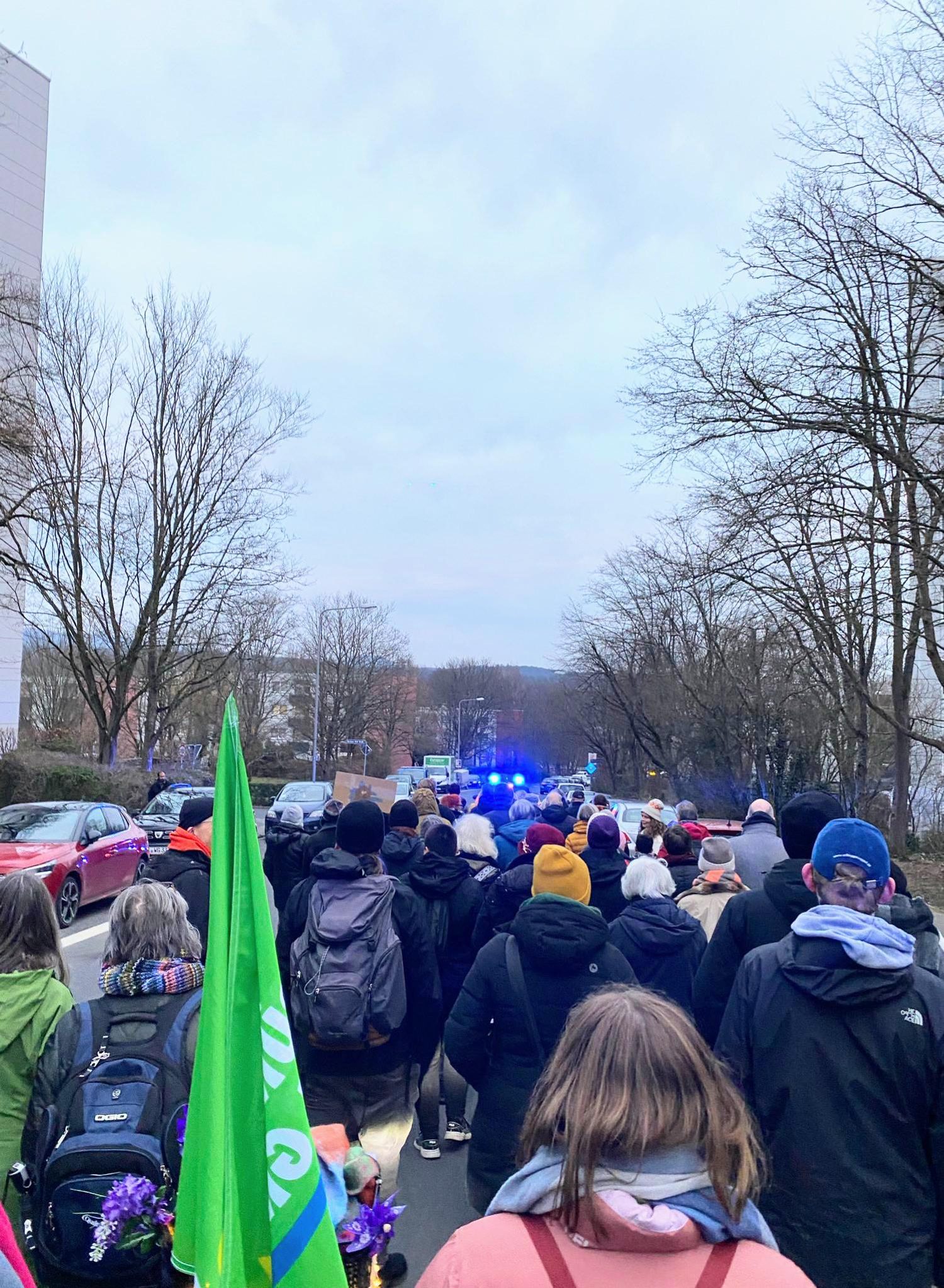 Menschenmenge mit Fahnen bei einem Demokratie-Spaziergang